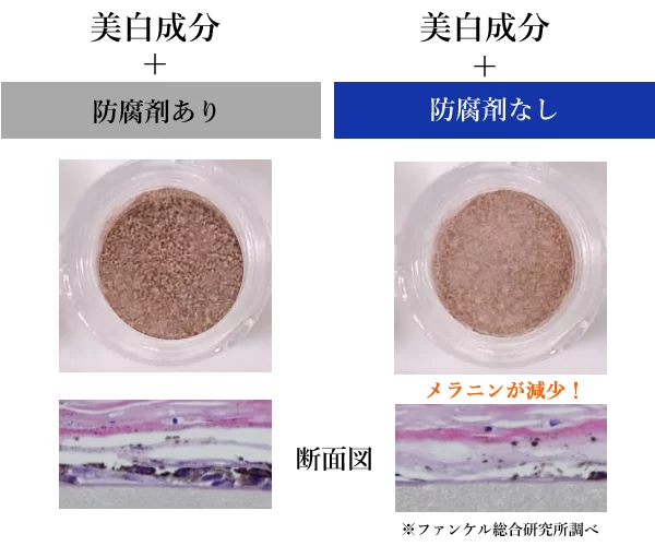 ファンケル 無添加ブライトニング　薬用美白1ヵ月集中セット